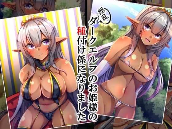 ダークエルフのお姫様の種付け係になりました cover