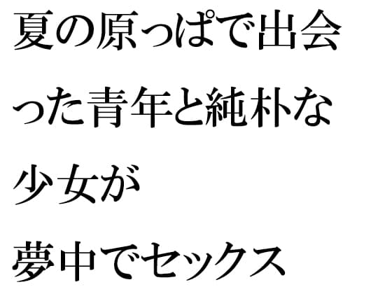 夏の原っぱで出会った青年と純朴な少女が夢中でセックス 絶望の最果てを知る二人の愛の埋め合わせ cover