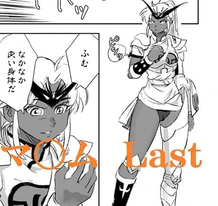 ダイダイFINAL cover