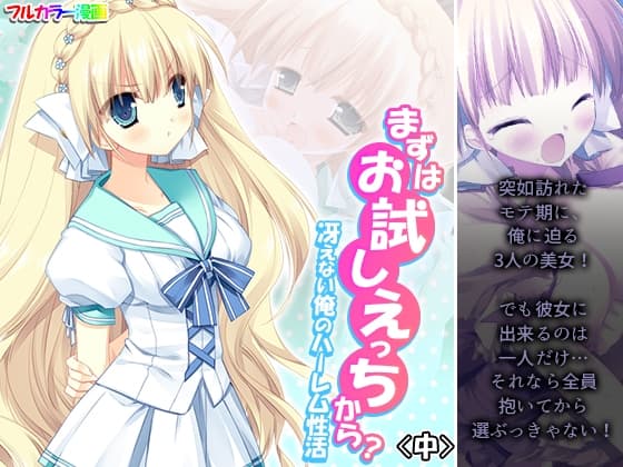 まずはお試しえっちから?冴えない俺のハーレム性活 中 cover