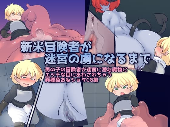 新米冒険者が迷宮の虜になるまで cover