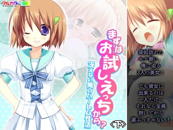 まずはお試しえっちから?冴えない俺のハーレム性活 下 cover
