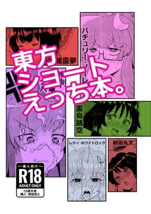 東方ショートえっち本。 cover