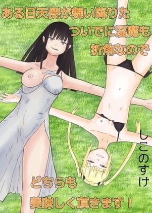 ある日天使が舞い降りた。ついでに淫魔も。せっかくなので、両方美味しく頂きます! cover