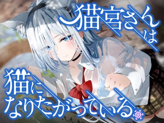 猫宮さんは猫になりたがっている。 cover