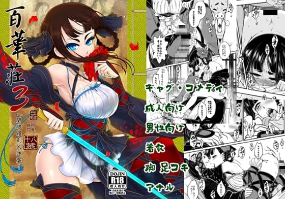 百華荘3《碧眼羅刹の逆襲》日文版 cover