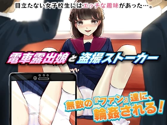 電車露出娘と盗撮ストーカー cover