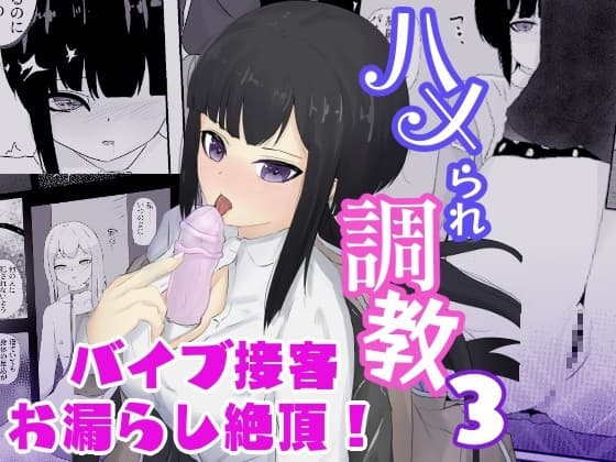 気持ち良いと思考停止するクールギャルは人前でお漏らし絶頂 ハメられ調教3 cover