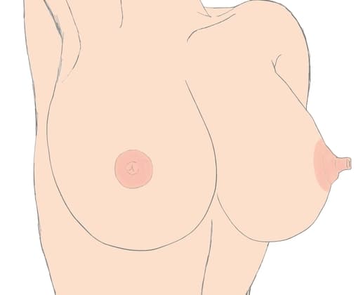 おっぱい図鑑その1 cover