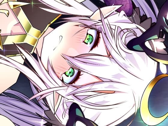 ファンタジー凌○Skeb2022(基本絵23枚+差分) cover
