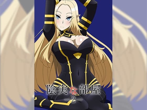 陰実な部屋2 cover