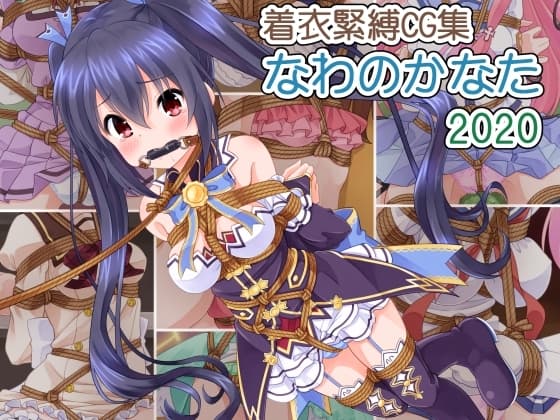 着衣緊縛CG集 なわのかなた 2020 cover