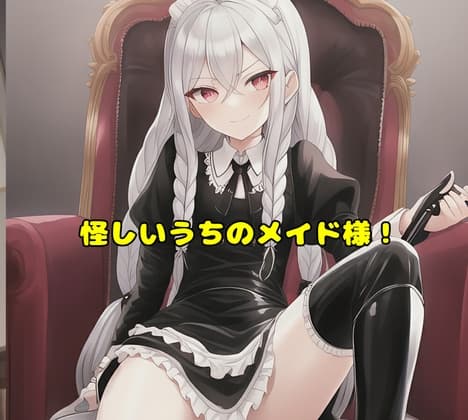 怪しいうちのメイド様! cover