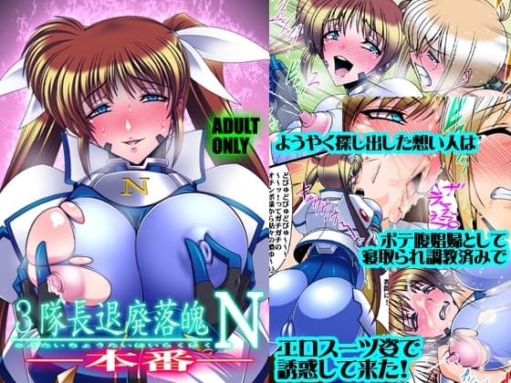 3隊長退廃落魄N ―本番― cover
