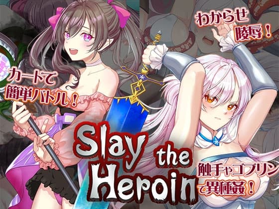 Slay the Heroin cover