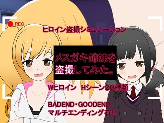 メ○ガキ姉妹を盗撮してみた。 cover