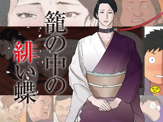 籠の中の緋い蝶 cover