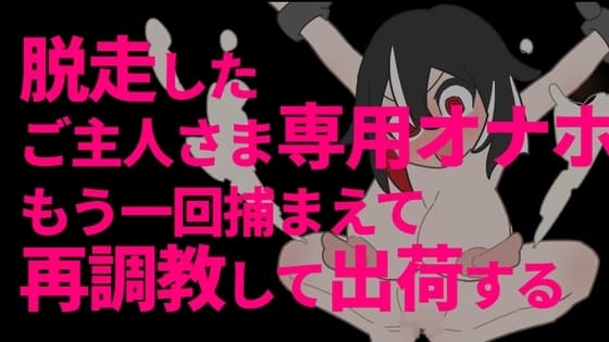 脱走したご主人さま専用オナホをもう一回捕まえて再調教して出荷する cover