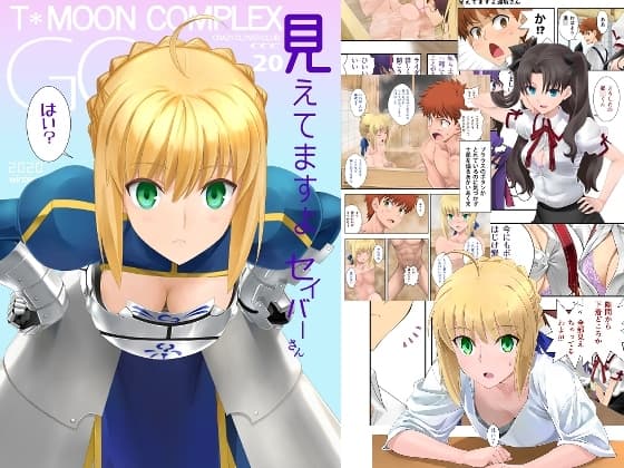 見えてますよセイバーさん cover