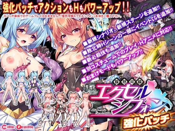 燦然可憐エクセルシフォン 強化パッチ cover