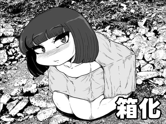 箱化 cover