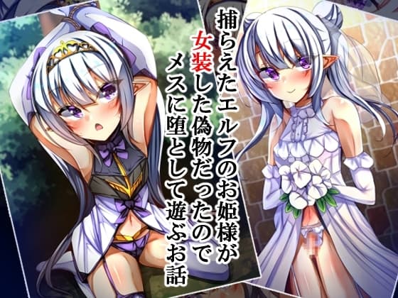 捕らえたエルフのお姫様が女装した偽物だったのでメスに堕として遊ぶお話 cover