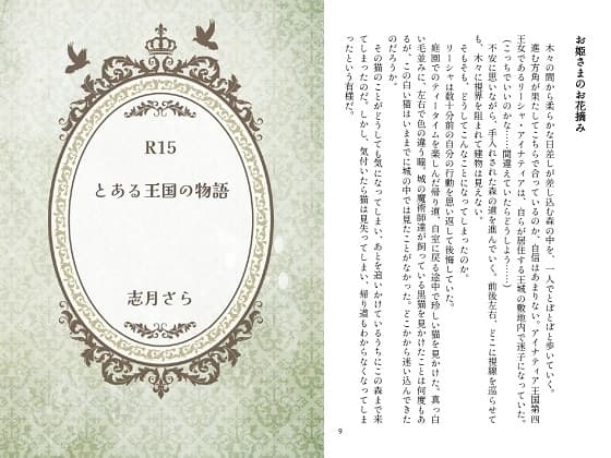 とある王国の物語 cover