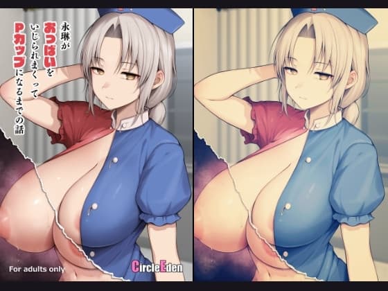 永琳がおっぱいをいじられまくってPカップになるまでの話 cover