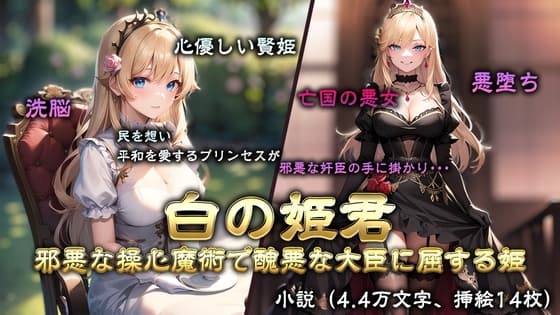 白の姫君-操心魔術で醜悪な大臣に屈する姫- cover