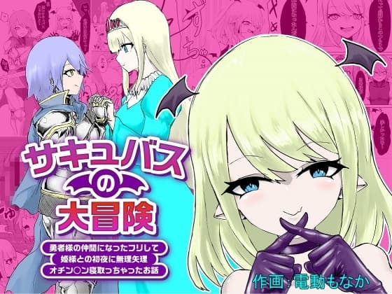 サキュバスの大冒険～勇者様の仲間になったフリして姫様との初夜に無理矢理オチン〇ン寝取っちゃったお話 cover