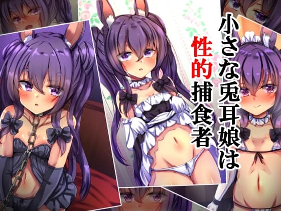 小さな兎耳娘は性的捕食者 cover