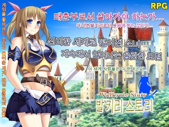 Valkyrie Story --발키리 스토리ー-- cover
