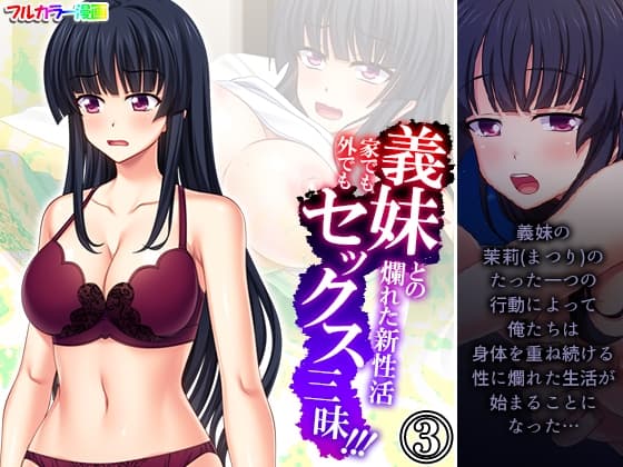 義妹との爛れた新性活!家でも外でもセックス三昧!! 3巻 cover