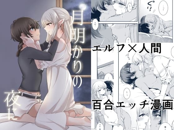 月明かりの夜に cover