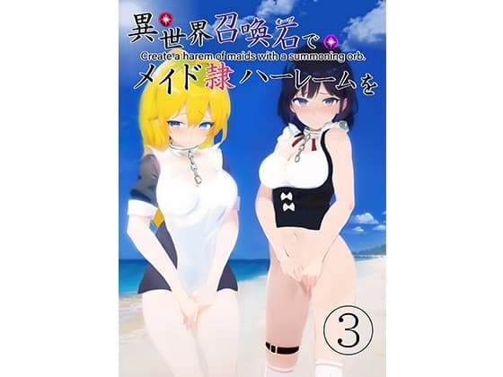 異世界召喚石でメイド隷ハーレムを3巻 cover