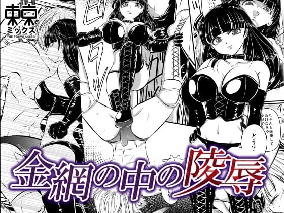 金網の中の凌○<希々花編> cover