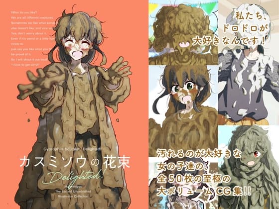 カスミソウの花束 Delighted! cover
