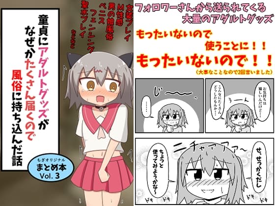 童貞にアダルトグッズがなぜかたくさん届くので風俗に持ち込んだ話 まとめ本Vol.3 cover