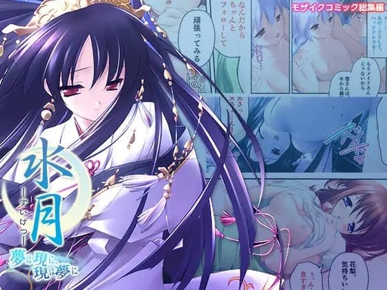 水月 ～夢は現に、現は夢に～ モザイクコミック総集編 cover