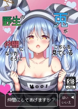 野生の兎が仲間になりたそうにこちらを見ている cover