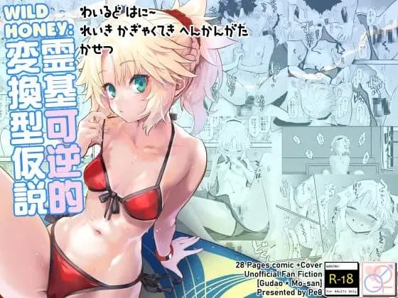 WILD HONEY:霊基可逆的変換型仮説 cover