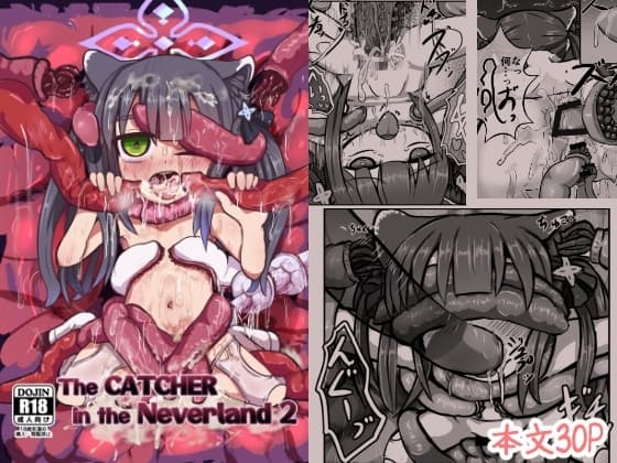 The Catcher in the Neverland2 cover