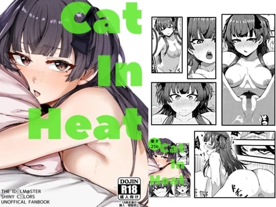 Cat In Heat cover