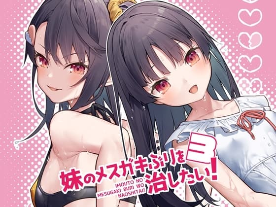 妹のメ○ガキぶりを治したい!3 cover