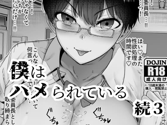 僕はハメられている続3 cover
