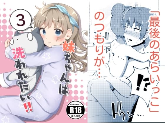 妹ちゃんは洗われたい‼(3) cover