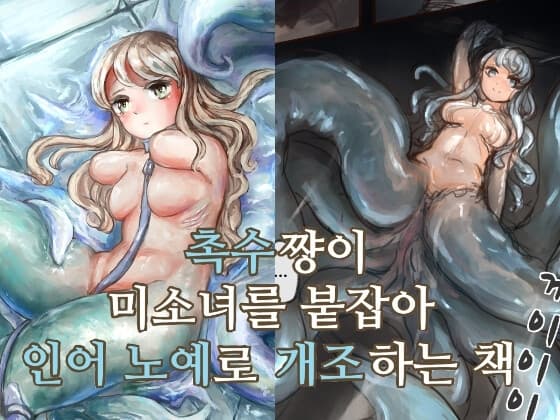 촉수쨩이 미소녀를 붙잡아 인어 노예로 개조하는 책 cover