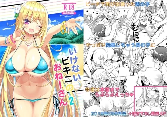 いけないビキニのおねーさん2 cover
