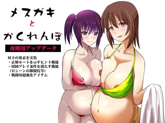 メ○ガキとかくれんぼ 攻略用アップデータ cover