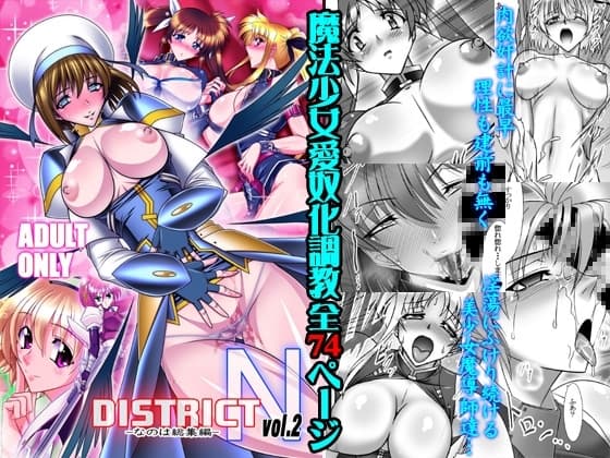DISTRICT N vol.2 cover